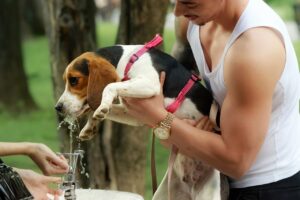 入浴中の水分補給はなぜ重要なのか？