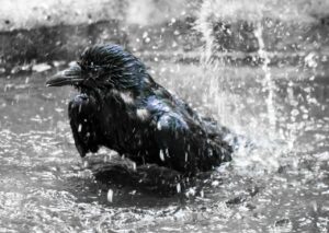 浴室でEGCG入り入浴剤の効果を最大限に引き出す方法は？