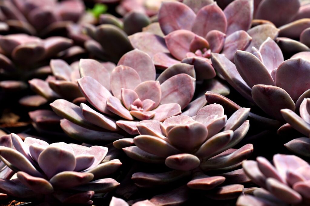 入浴中のボディスクラブのやり方と注意点は？