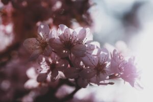 入浴後の暖房と乾燥が肌荒れ防止に与える影響は？